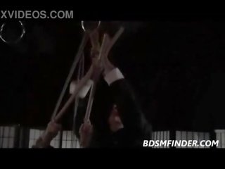 Tied shibari suspended and spanked